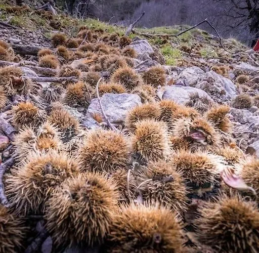 Ecolieu La Bernarde - Graphique