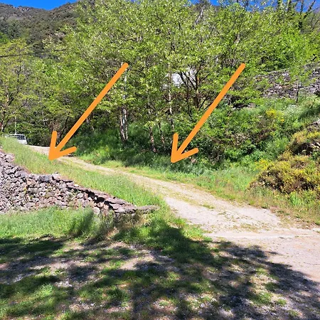 Ecolieu La Bernarde - Graphique